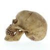 Grinning Skull Figurine